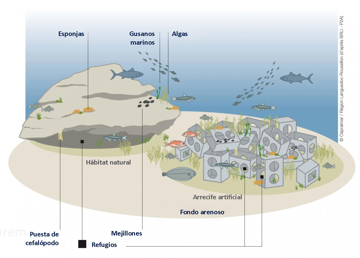 Diagrama de funcionamiento del arrecife artificial con su entorno.