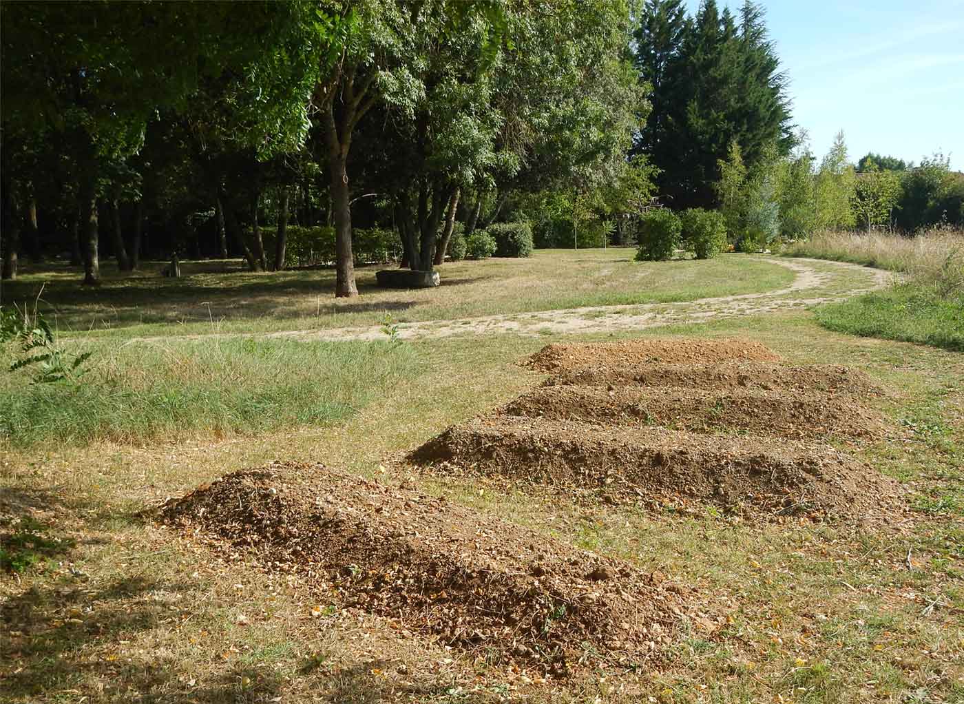 inhumación en tierra en el cementerio natural de Niort