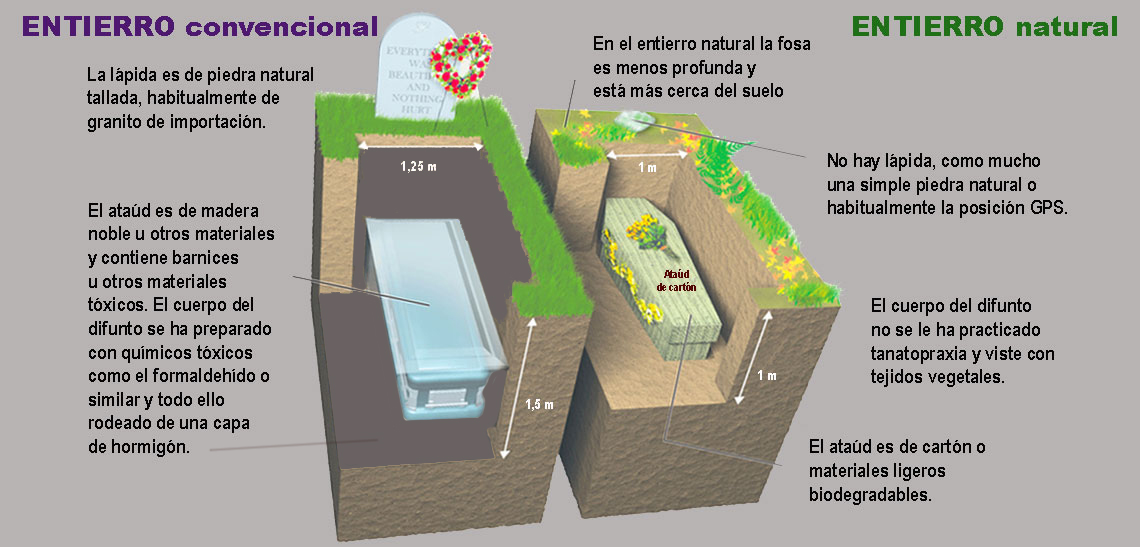 Esquema de una tumba de entierro convencional versus entierro natural
