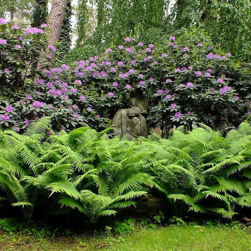 Tumba rodeada de azaleas en Ohlsdorf