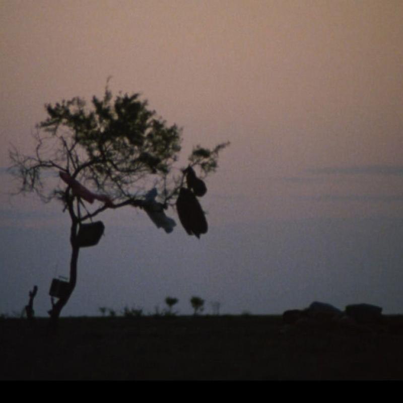 Fotograma Walkabout de Nicolas Roeg (1971)