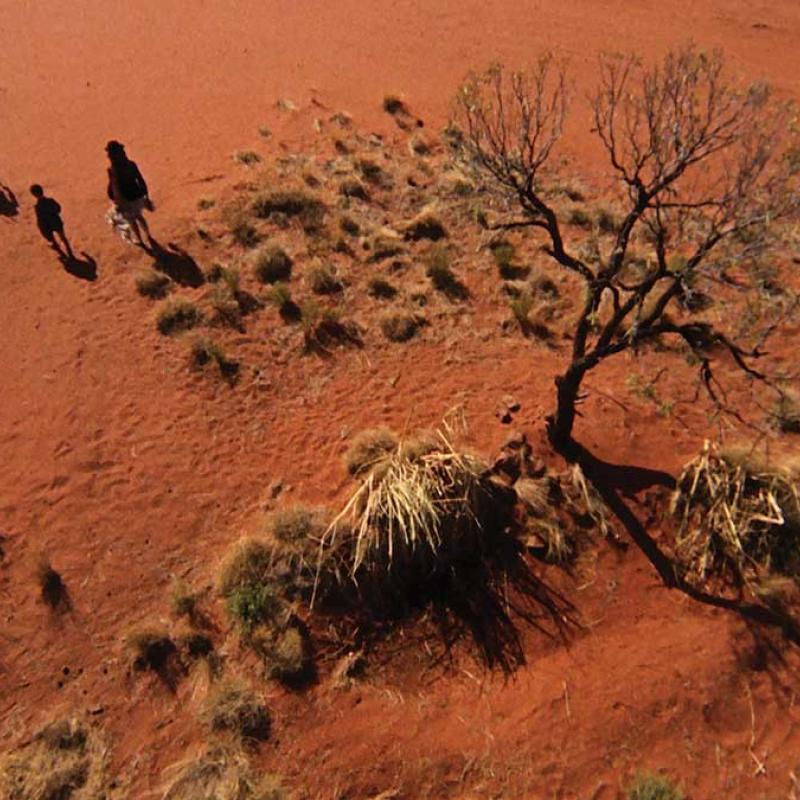 Fotograma Walkabout de Nicolas Roeg (1971)