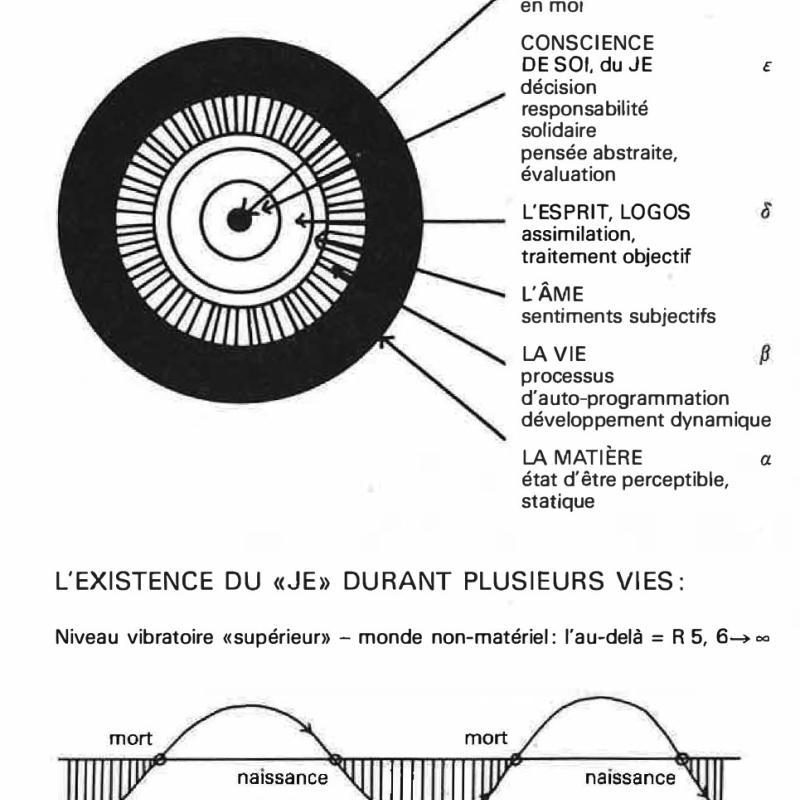 Ilustración de La mort la plus belle expérience (1988) libro de Stefan von Jankovich