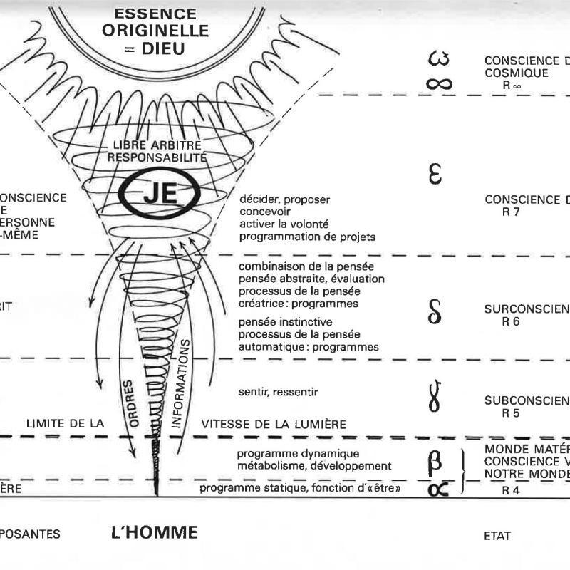 Ilustración de La mort la plus belle expérience (1988) libro de Stefan von Jankovich