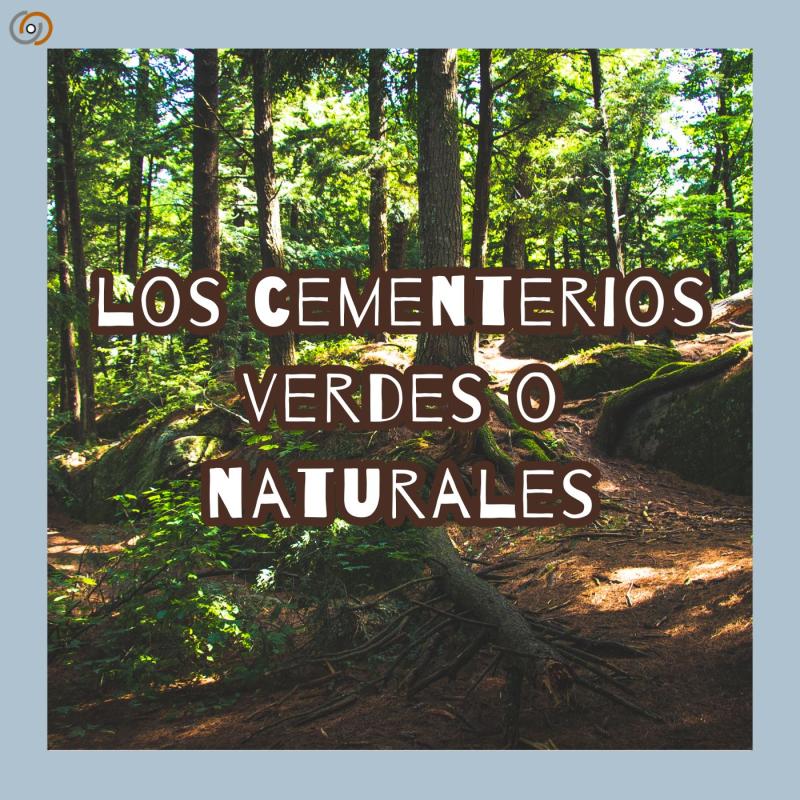 Imagen ¿qué son los cementerios verdes o naturales?