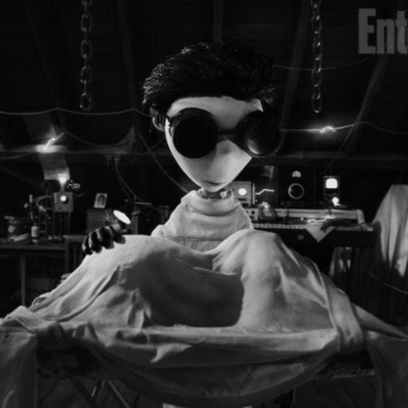 Frankenweenie-491715059-large.jpg